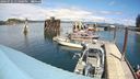 ./images/quadra/hbidock/20240731/hbidock20240731_135001M.jpg