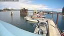 ./images/quadra/hbidock/20240731/hbidock20240731_135501M.jpg