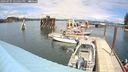 ./images/quadra/hbidock/20240731/hbidock20240731_141001M.jpg