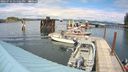 ./images/quadra/hbidock/20240731/hbidock20240731_151501M.jpg
