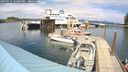 ./images/quadra/hbidock/20240731/hbidock20240731_152002M.jpg
