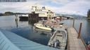 ./images/quadra/hbidock/20240731/hbidock20240731_153001M.jpg