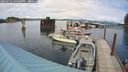./images/quadra/hbidock/20240731/hbidock20240731_154501M.jpg