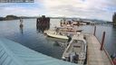 ./images/quadra/hbidock/20240731/hbidock20240731_162001M.jpg