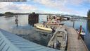./images/quadra/hbidock/20240731/hbidock20240731_181501M.jpg