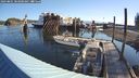 ./images/quadra/hbidock/20240801/hbidock20240801_083000M.jpg