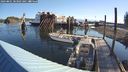 ./images/quadra/hbidock/20240801/hbidock20240801_083001M.jpg