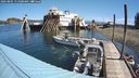 ./images/quadra/hbidock/20240801/hbidock20240801_111000M.jpg
