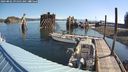 ./images/quadra/hbidock/20240802/hbidock20240802_091501M.jpg