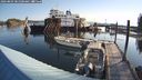 ./images/quadra/hbidock/20240803/hbidock20240803_081501M.jpg