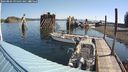 ./images/quadra/hbidock/20240803/hbidock20240803_095001M.jpg
