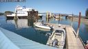 ./images/quadra/hbidock/20240803/hbidock20240803_151000M.jpg