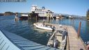 ./images/quadra/hbidock/20240803/hbidock20240803_170001M.jpg
