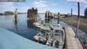 ./images/quadra/hbidock/20240804/hbidock20240804_125001M.jpg