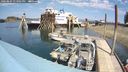 ./images/quadra/hbidock/20240804/hbidock20240804_134502M.jpg
