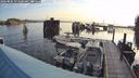 ./images/quadra/hbidock/20240805/hbidock20240805_071501M.jpg