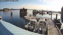 ./images/quadra/hbidock/20240805/hbidock20240805_075501M.jpg