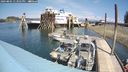 ./images/quadra/hbidock/20240805/hbidock20240805_133502M.jpg