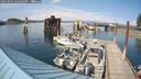 ./images/quadra/hbidock/20240805/hbidock20240805_162500M.jpg