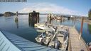 ./images/quadra/hbidock/20240805/hbidock20240805_165501M.jpg