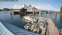 ./images/quadra/hbidock/20240805/hbidock20240805_172502M.jpg