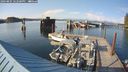 ./images/quadra/hbidock/20240805/hbidock20240805_182500M.jpg