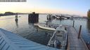 ./images/quadra/hbidock/20240806/hbidock20240806_201501M.jpg