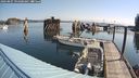 ./images/quadra/hbidock/20240807/hbidock20240807_094500M.jpg