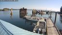 ./images/quadra/hbidock/20240807/hbidock20240807_095500M.jpg