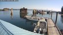 ./images/quadra/hbidock/20240807/hbidock20240807_100001M.jpg