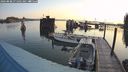 ./images/quadra/hbidock/20240808/hbidock20240808_071001M.jpg