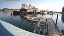 ./images/quadra/hbidock/20240808/hbidock20240808_082501M.jpg