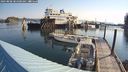 ./images/quadra/hbidock/20240808/hbidock20240808_084500M.jpg