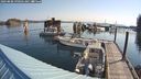 ./images/quadra/hbidock/20240808/hbidock20240808_090502M.jpg