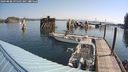 ./images/quadra/hbidock/20240808/hbidock20240808_095502M.jpg