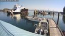 ./images/quadra/hbidock/20240808/hbidock20240808_102500M.jpg