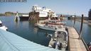 ./images/quadra/hbidock/20240808/hbidock20240808_114001M.jpg