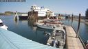./images/quadra/hbidock/20240808/hbidock20240808_114501M.jpg