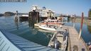 ./images/quadra/hbidock/20240808/hbidock20240808_170001M.jpg
