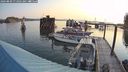 ./images/quadra/hbidock/20240809/hbidock20240809_074002M.jpg