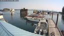 ./images/quadra/hbidock/20240809/hbidock20240809_101500M.jpg