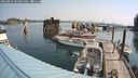 ./images/quadra/hbidock/20240809/hbidock20240809_102001M.jpg