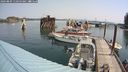 ./images/quadra/hbidock/20240809/hbidock20240809_110500M.jpg