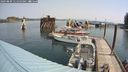 ./images/quadra/hbidock/20240809/hbidock20240809_111500M.jpg