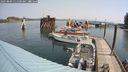 ./images/quadra/hbidock/20240809/hbidock20240809_111501M.jpg