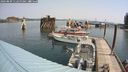 ./images/quadra/hbidock/20240809/hbidock20240809_112500M.jpg