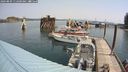 ./images/quadra/hbidock/20240809/hbidock20240809_112501M.jpg