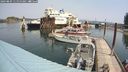 ./images/quadra/hbidock/20240809/hbidock20240809_120000M.jpg