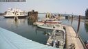 ./images/quadra/hbidock/20240809/hbidock20240809_120500M.jpg
