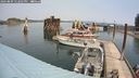 ./images/quadra/hbidock/20240809/hbidock20240809_122002M.jpg